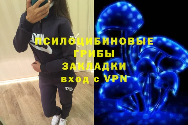 МДПВ Абинск